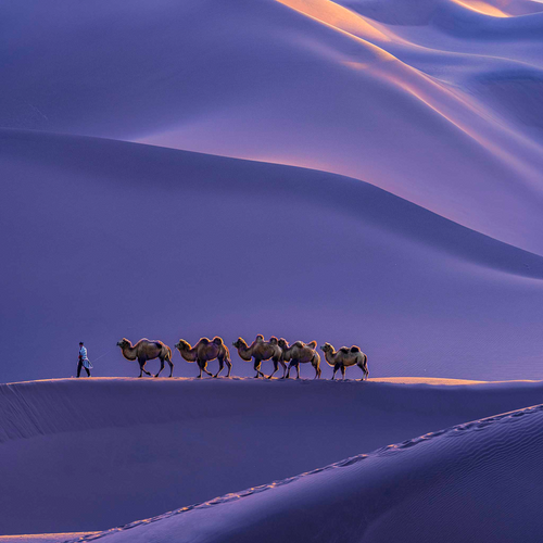 Cai  Ning