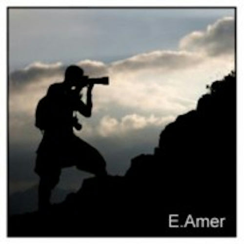 Eyal Amer