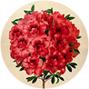 Botanical