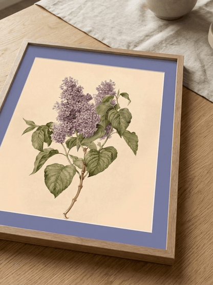 Matboard Lavender