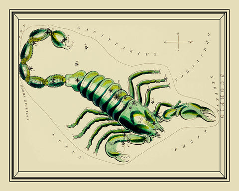 Urania's Mirror Scorpio