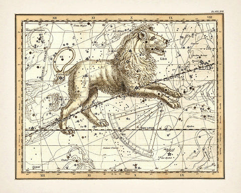 The Lion Zodiac Sign