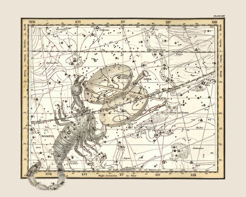 Libra and Scorpio Zodiac Sign
