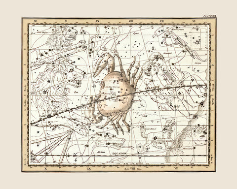 Cancer the Crab Zodiac Sign