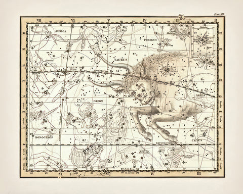 Taurus the Bull Zodiac Sign