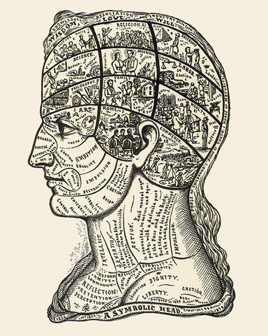 A Symbolic Head, Phrenology Diagram