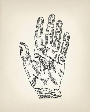 Physiognomy and Palmistry