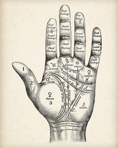 Palmistry