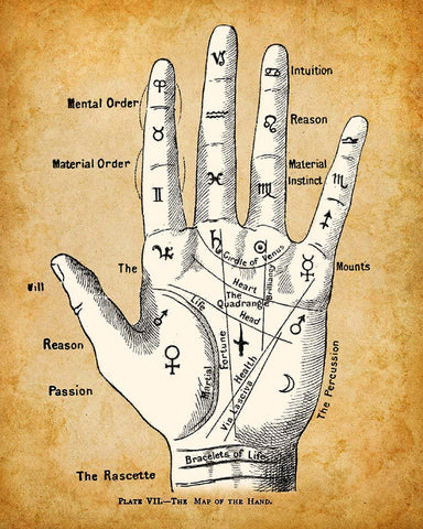 Palm Reading Divination Chart