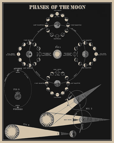 Phases of the Moon No1