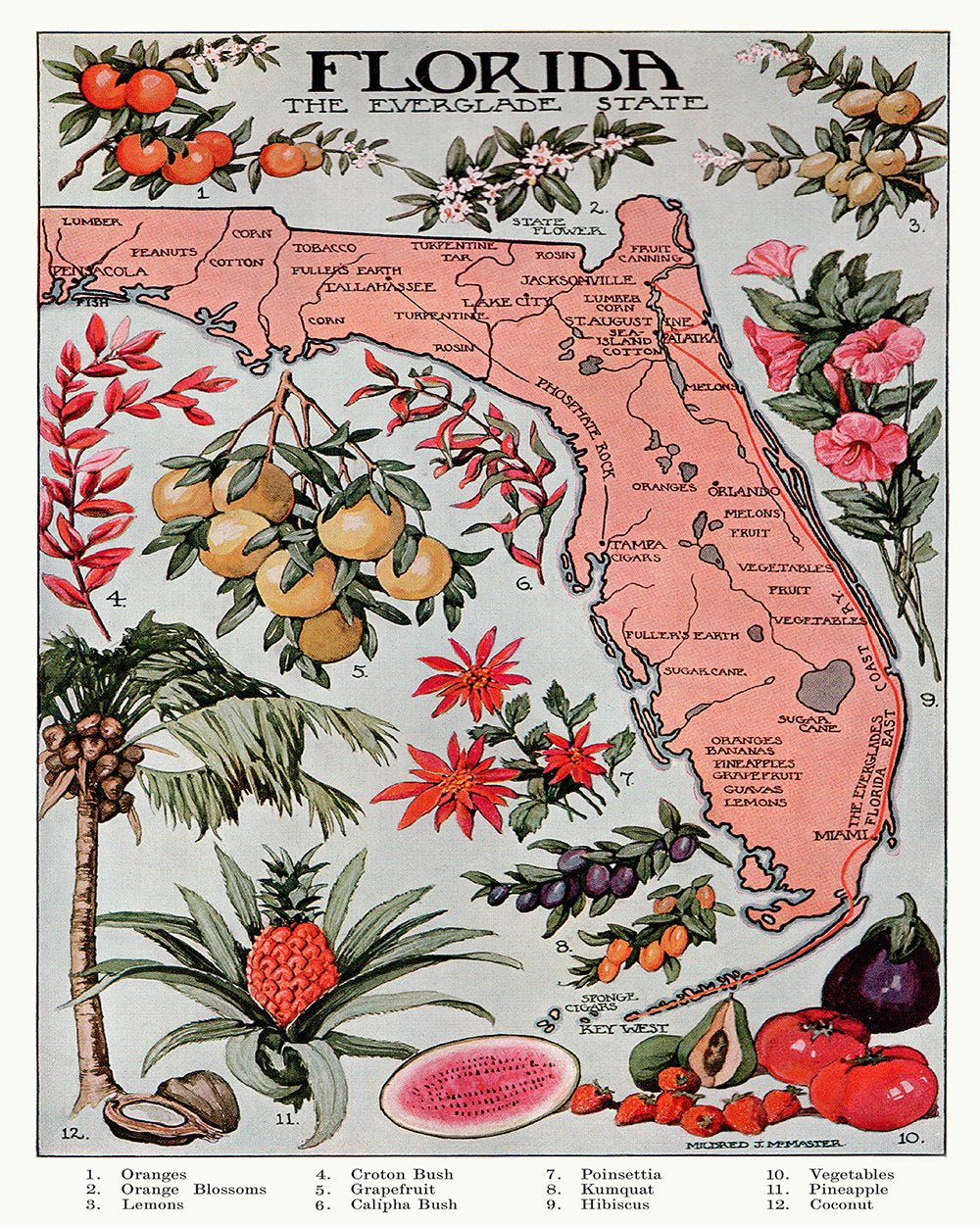 Florida - The Everglade State – Poster Master