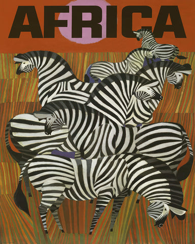 Africa Fly