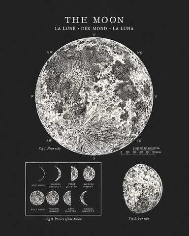 The Moon No3