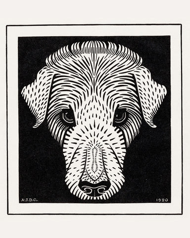 Dog's Head