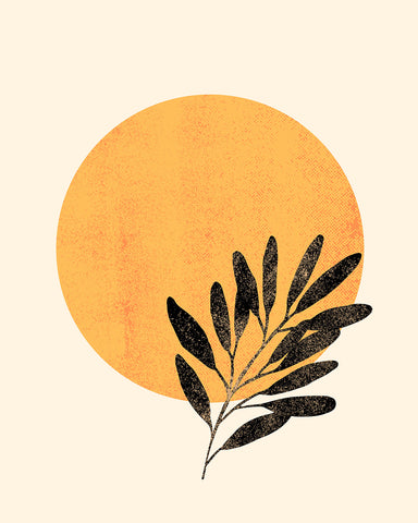 Geometrical Sun