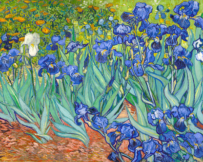 Van Gogh - Irises No1