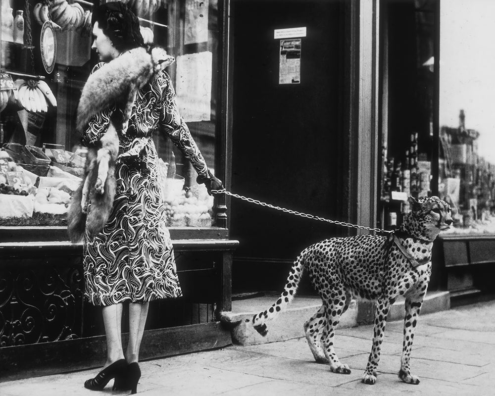 Elegant Woman with Cheetah