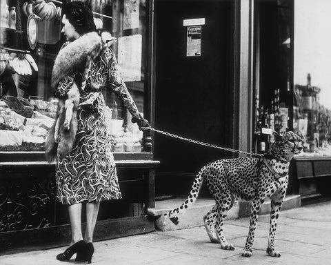 Elegant Woman with Cheetah