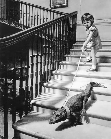 Little Girl and Alligator