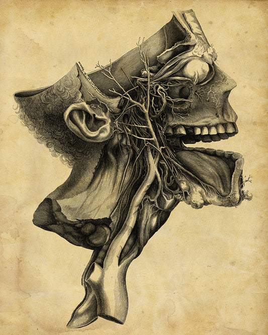 Unframed