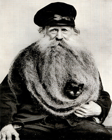 Cat in Beard