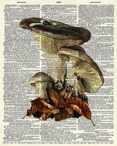 Mushroom and Dried Leaves