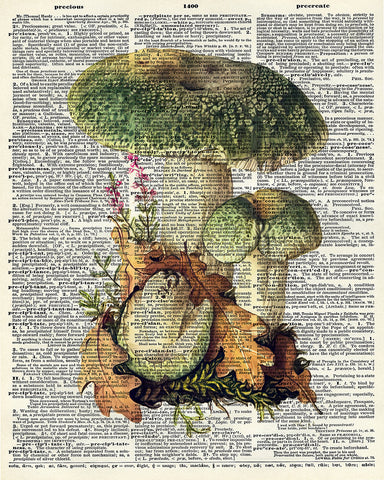 Mushroom
