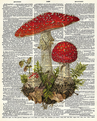 Fly Agaric Mushroom