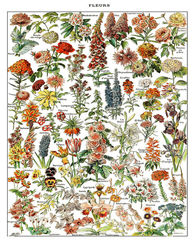 Assorted Flowers