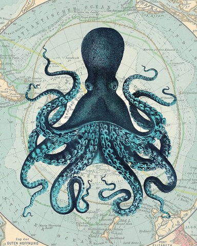 Kraken Octopus
