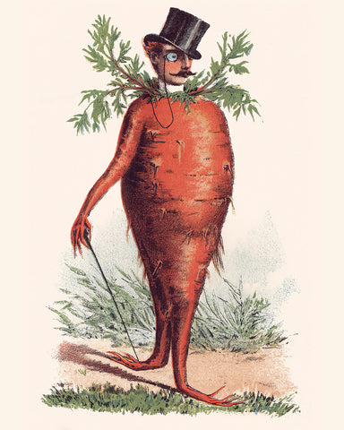 Carrot Man