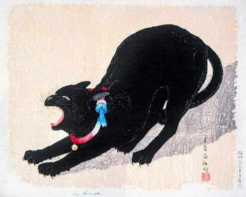 Black Cat Hissing