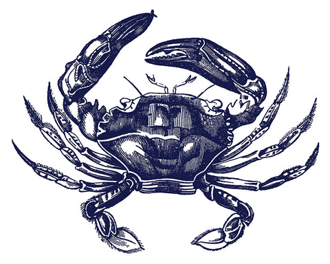 Navy Blue Crab