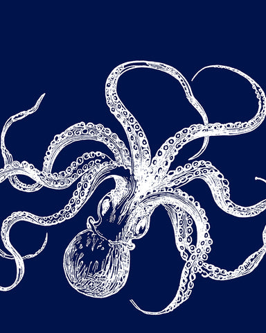 Octopus No1