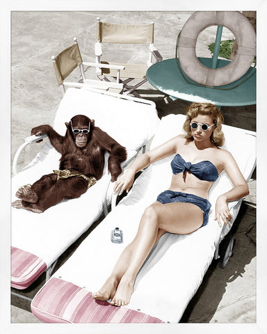 Chimpanzee and a Woman Sunbathing
