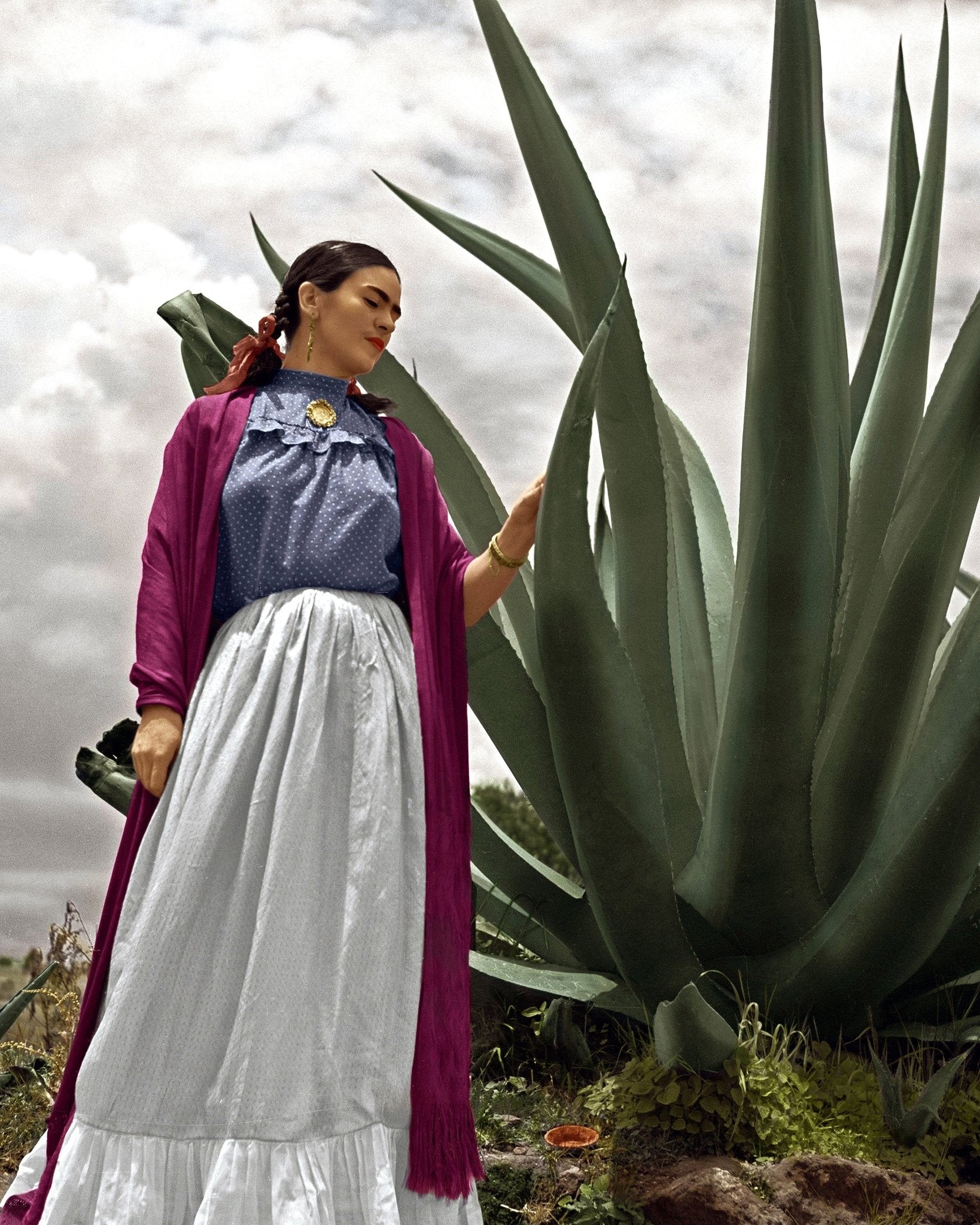 Frida Agave Plant