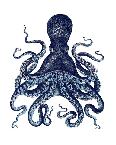 Aquatic Octopus