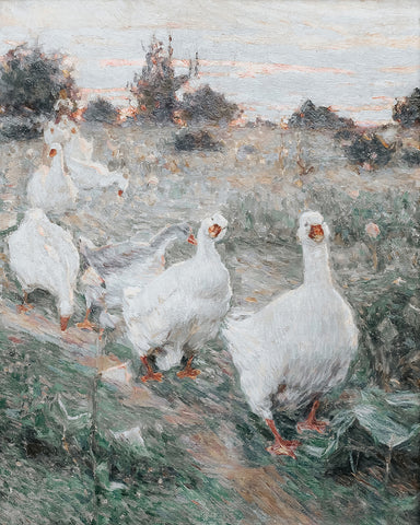 Kyriak Kostandi - Geese