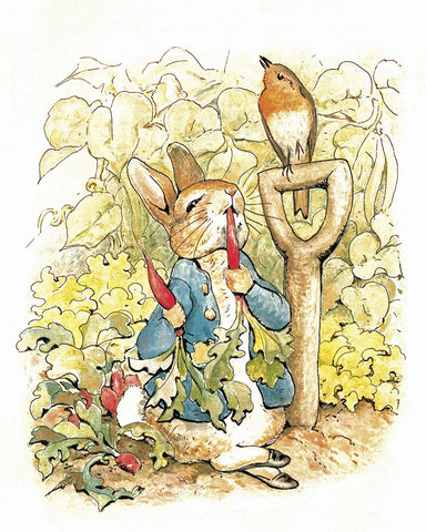 Peter Rabbit in the Garden