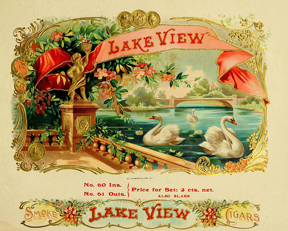 Lake View Swan