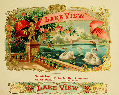 Lake View Swan