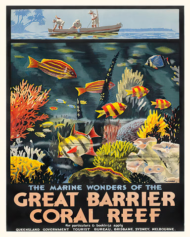 The Marine Wonders of the Great Barrier Coral Reef
