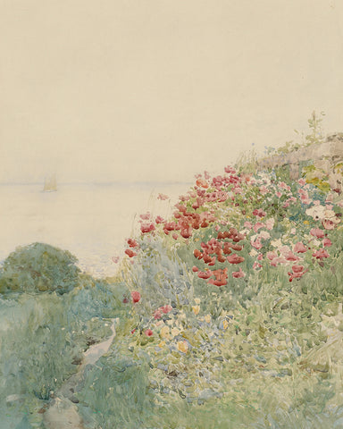 Field of Poppies