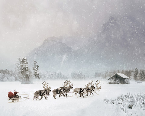 Santa Claus Reindeer Sleigh