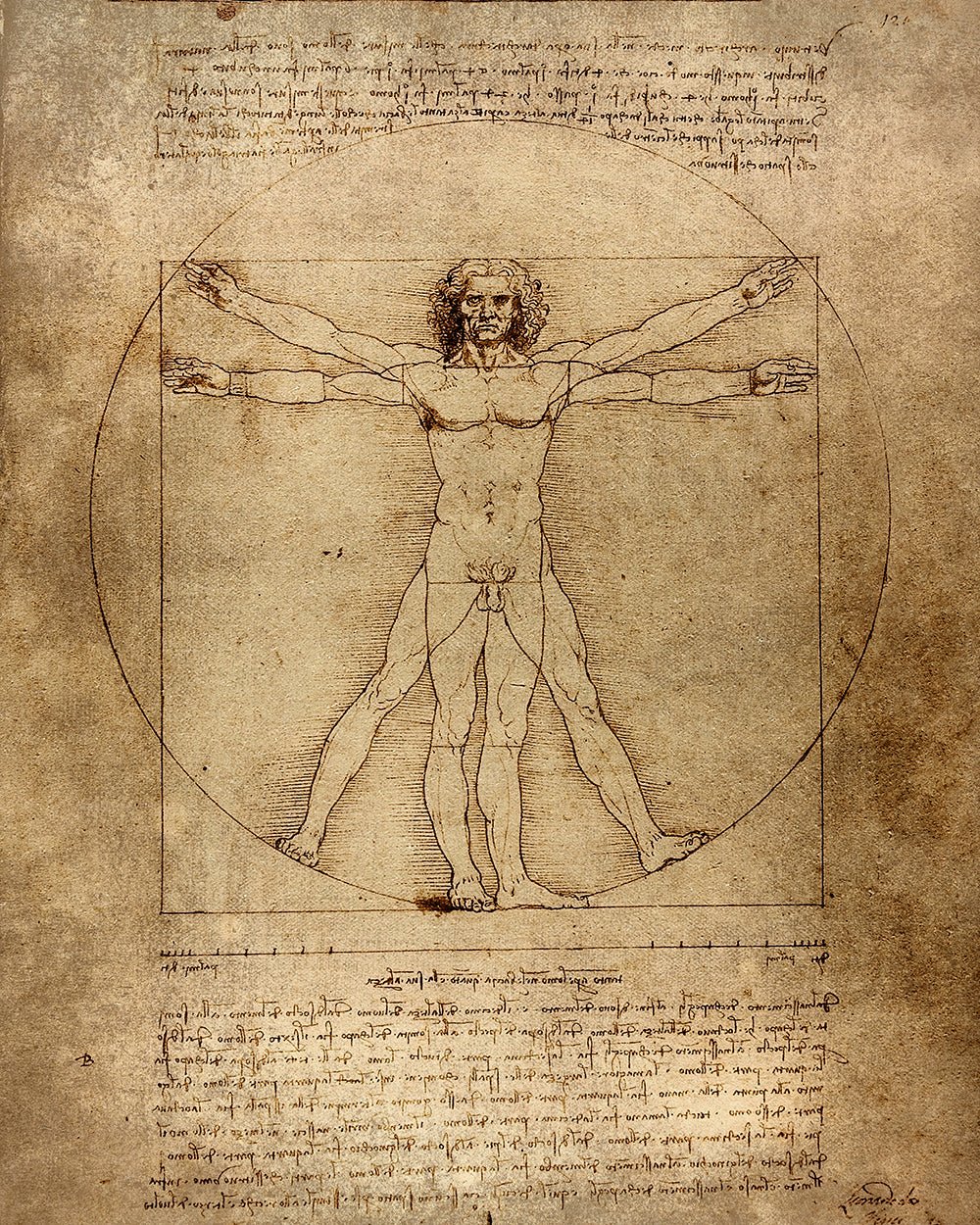 Leonardo Da Vinci - Vitruvian Man