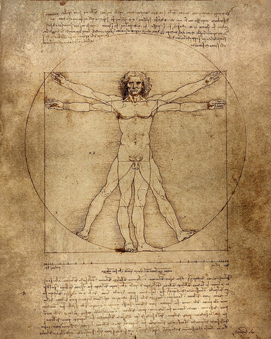 Leonardo Da Vinci - Vitruvian Man