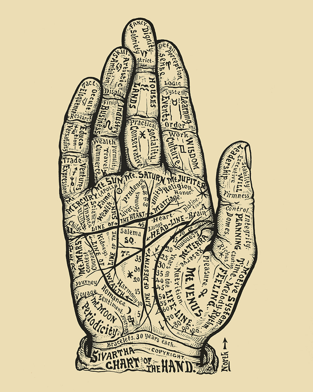 Chart of the Hand