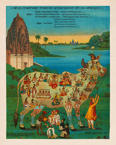 The Holy Cow