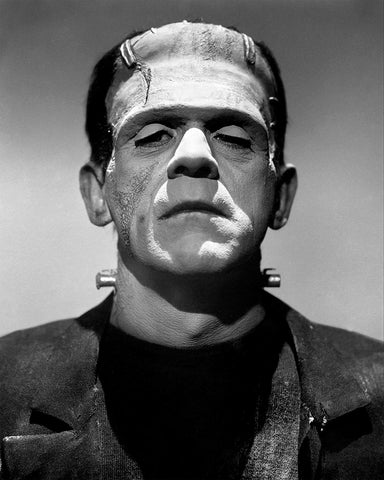 Frankenstein�s Monster No1