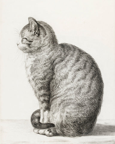 Jean Bernard - Sitting Cat, Facing Left